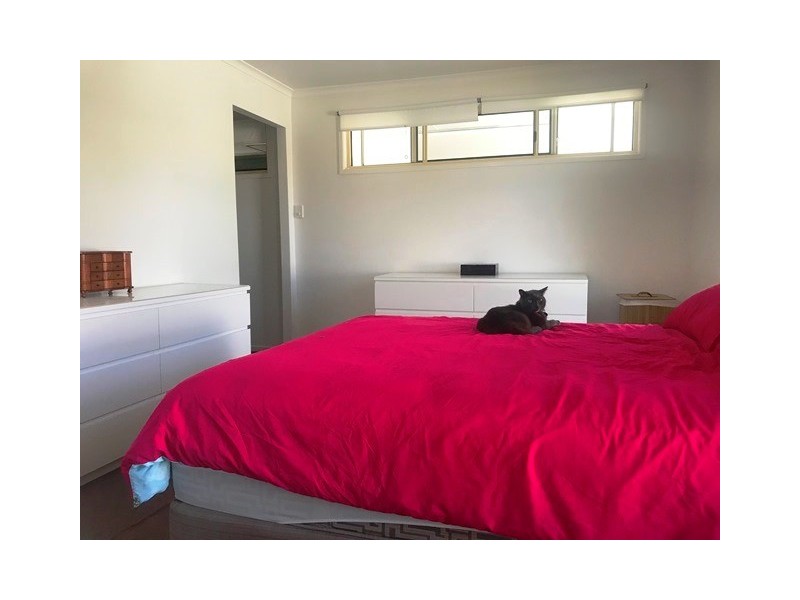 1 Nooree Street, Wurtulla QLD 4575