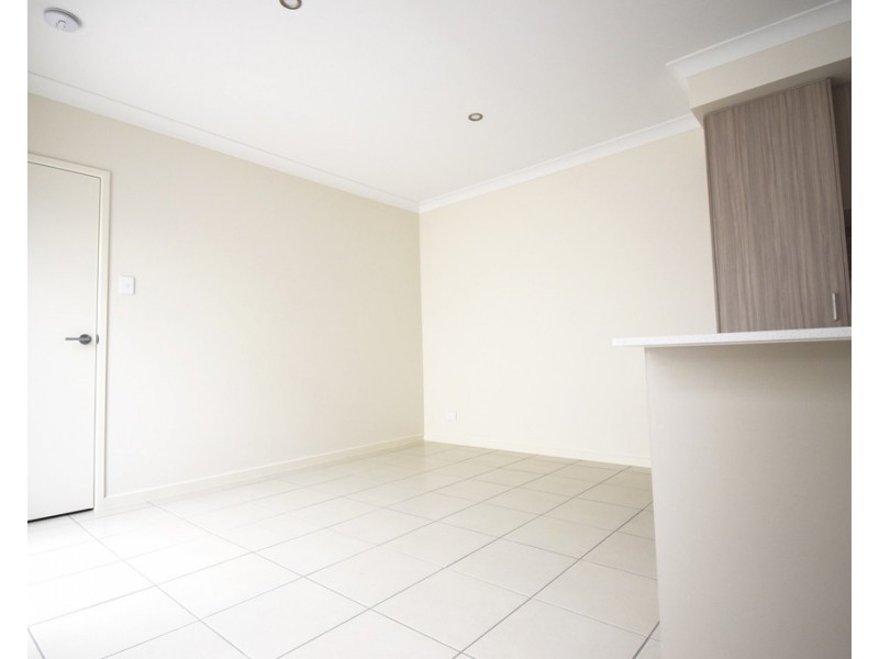 12 Pamphlet Place, Palmview QLD 4553