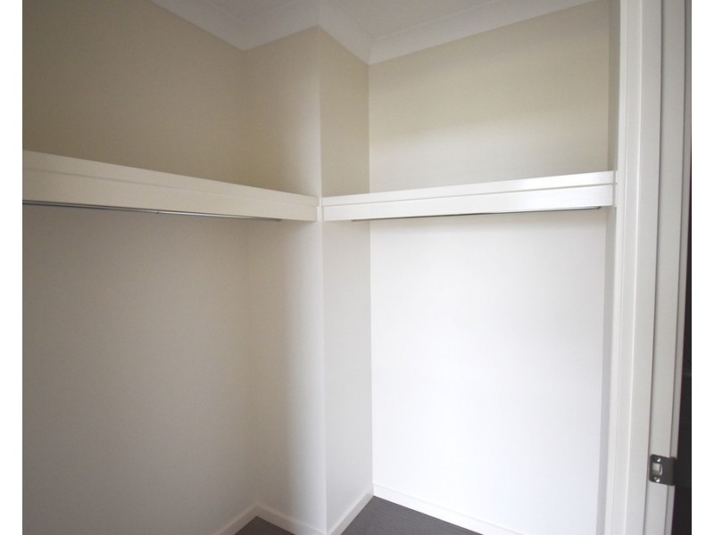 12 Pamphlet Place, Palmview QLD 4553