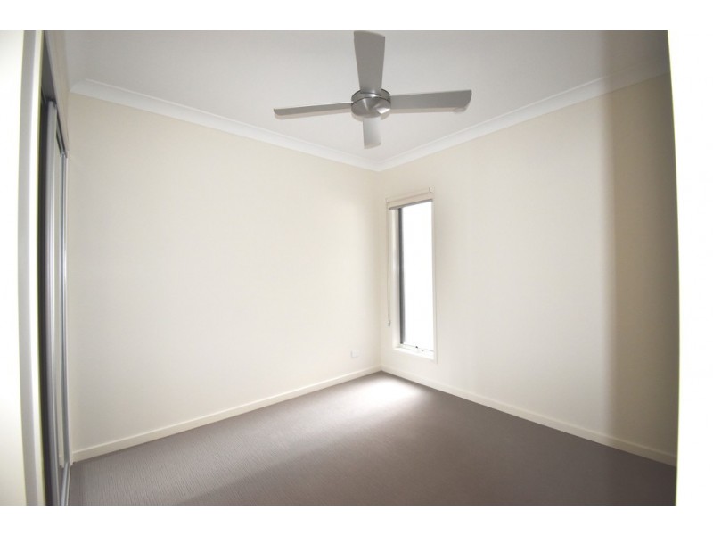16 Pamphlett Place, Palmview QLD 4553