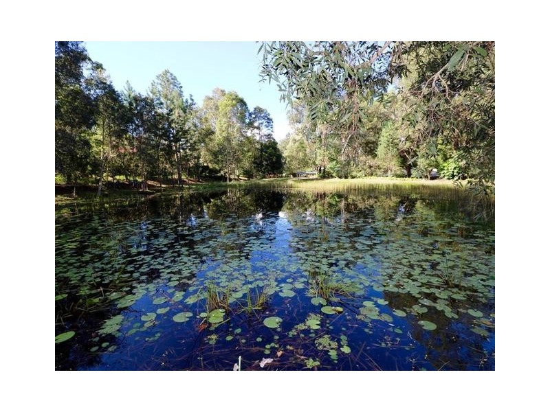 32 Whites Road, Landsborough QLD 4550