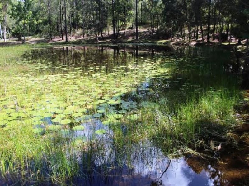 32 Whites Road, Landsborough QLD 4550