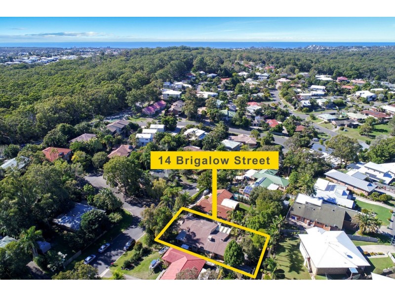 14 Brigalow Street, Caloundra West QLD 4551