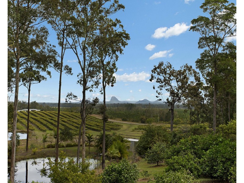 219 Forestry Road, Landsborough QLD 4550