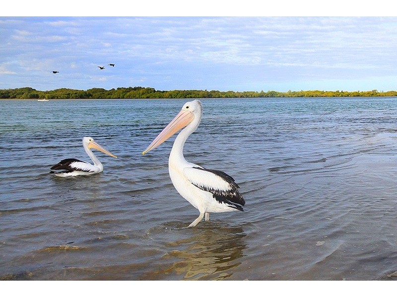 30 Maroochy Waters Drive, Maroochydore QLD 4558