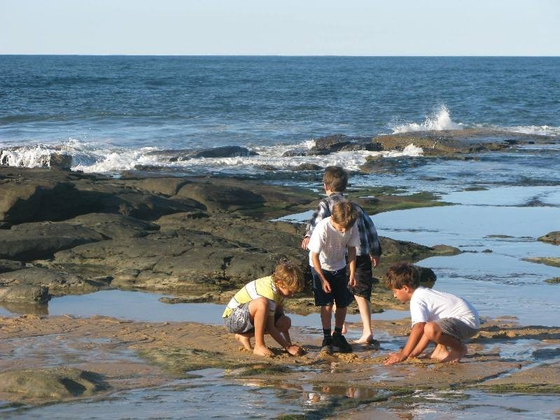 19 Victoria Terrace, Shelly Beach QLD 4551