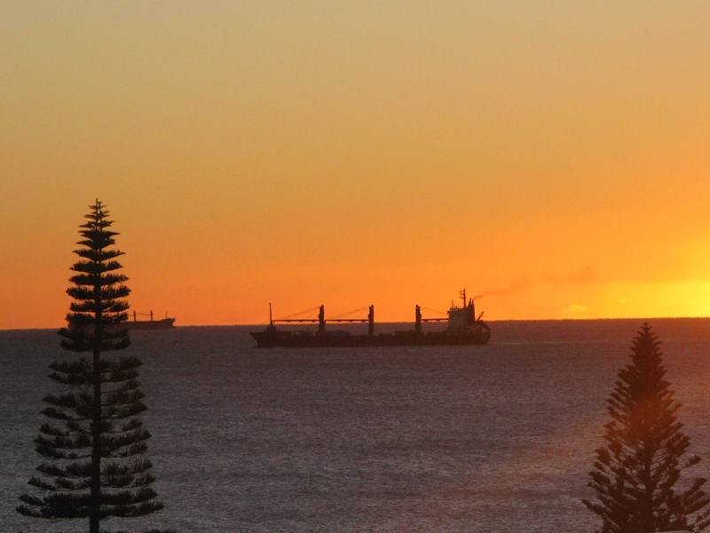 19 Victoria Terrace, Shelly Beach QLD 4551