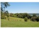 280 Western Avenue, Montville QLD 4560