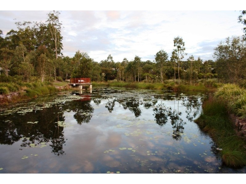 6 Argus Court, Beerwah QLD 4519