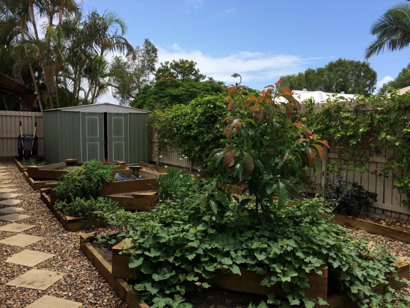 11 Avondale Place, Little Mountain QLD 4551