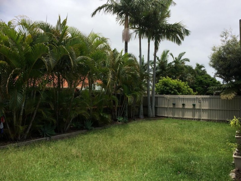 11 Avondale Place, Little Mountain QLD 4551