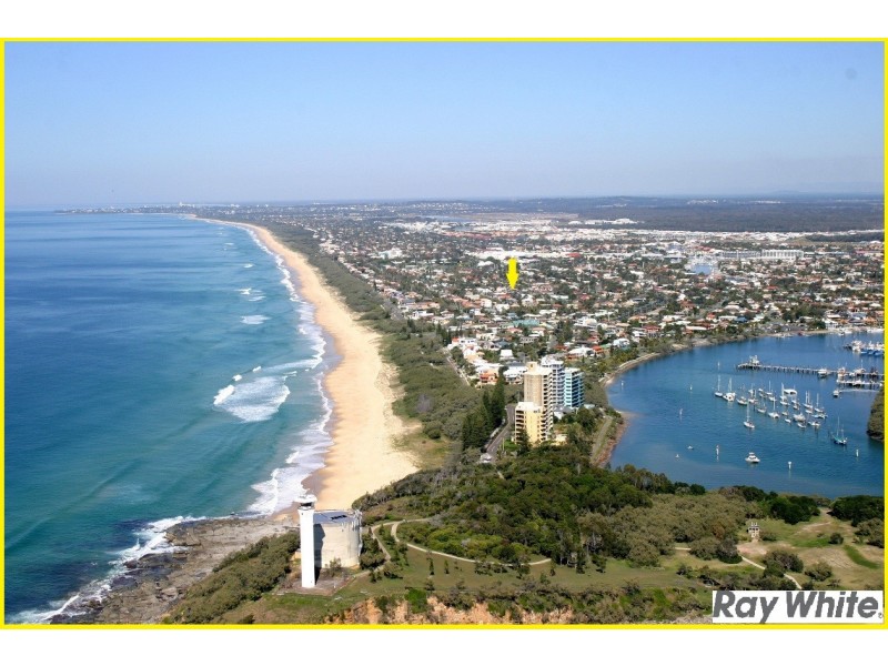 19 Pannaroo Street, Buddina QLD 4575