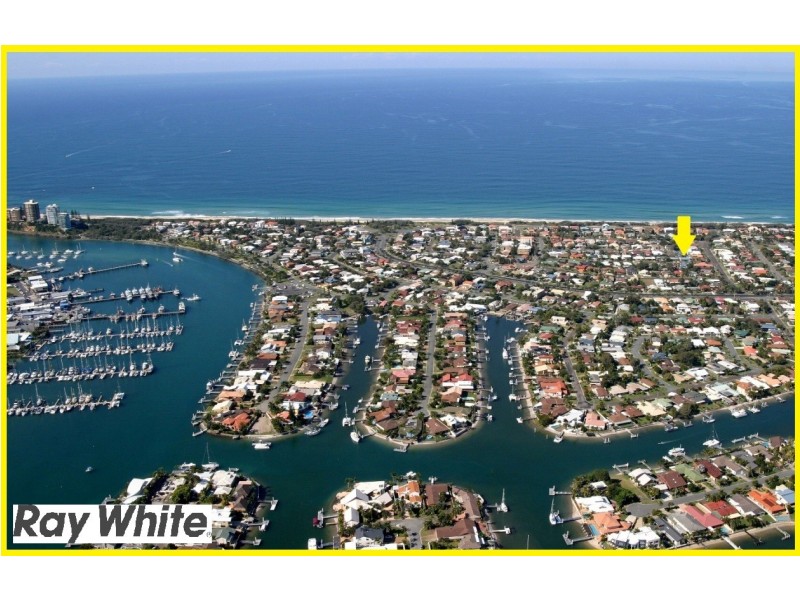 19 Pannaroo Street, Buddina QLD 4575