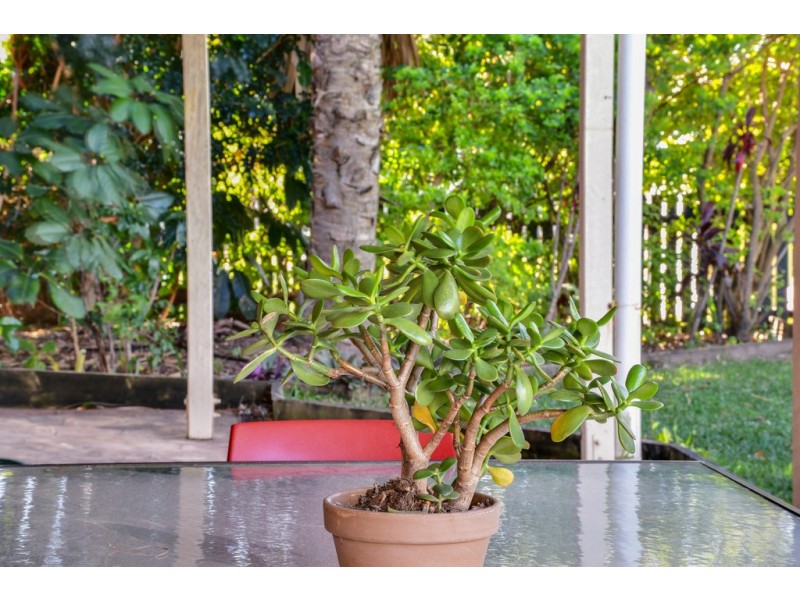 21 Doondoon Street, Currimundi QLD 4551