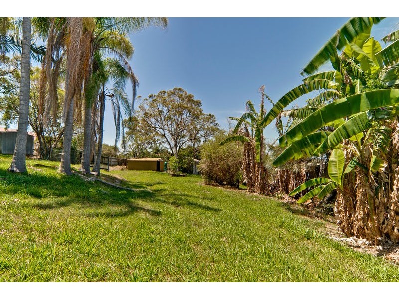 255 Caloundra Road, Little Mountain QLD 4551