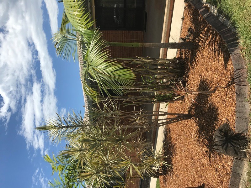 4 Slim Crescent, Golden Beach QLD 4551