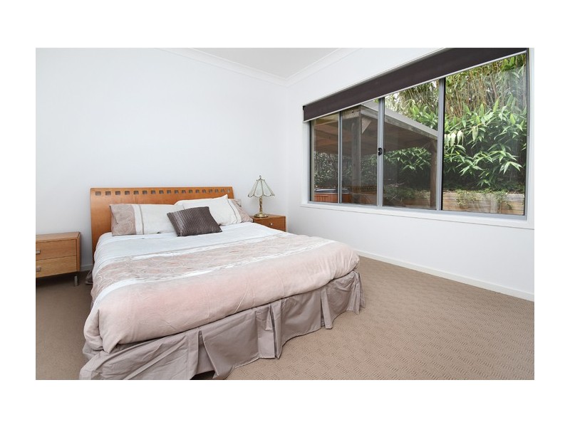 36 Paynters Pocket Avenue, Palmwoods QLD 4555