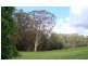 122 Lindeman Road, Beerwah QLD 4519