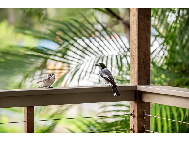 19 Centenary Crescent, Maroochydore QLD 4558