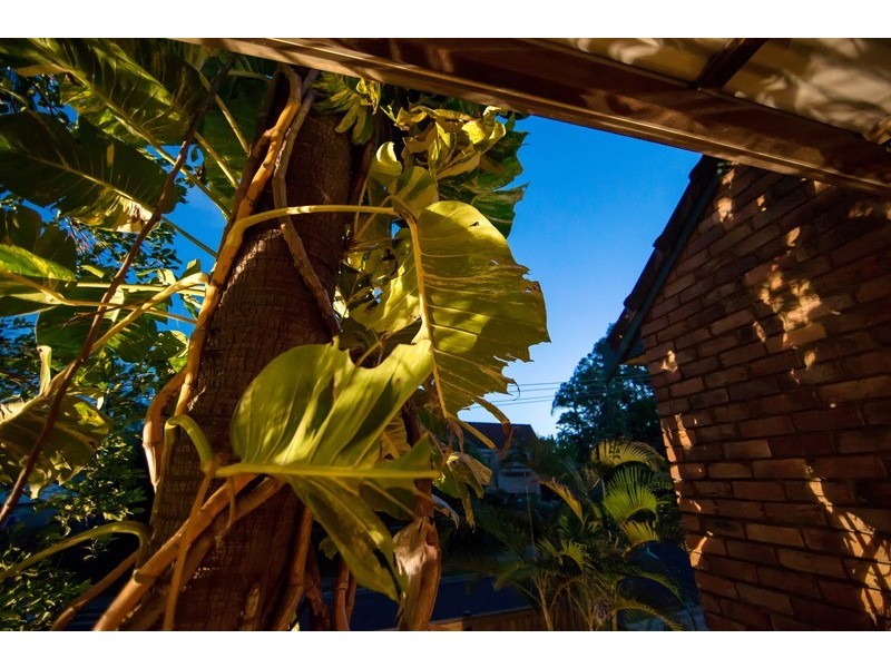 19 Centenary Crescent, Maroochydore QLD 4558