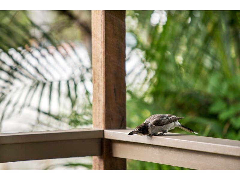 19 Centenary Crescent, Maroochydore QLD 4558