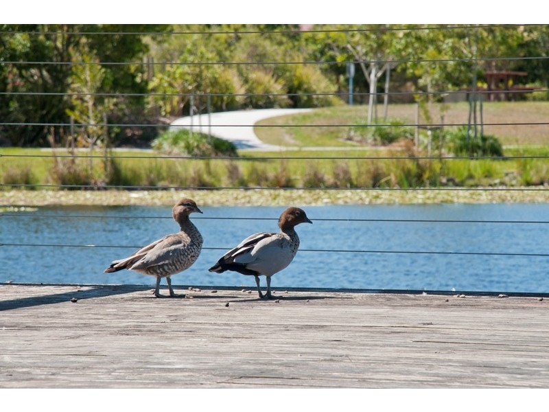 12 Indigo Road, Caloundra West QLD 4551