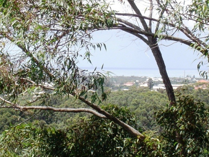 6 Valley View Court, Little Mountain QLD 4551