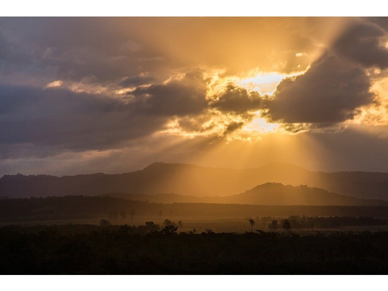 Unit 1104 ‘Pelican Waters Resort’ 38 Mahogany Drive, Pelican Waters QLD 4551