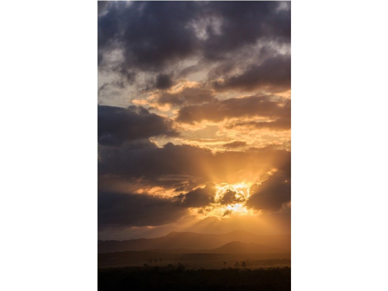 Unit 1104 ‘Pelican Waters Resort’ 38 Mahogany Drive, Pelican Waters QLD 4551