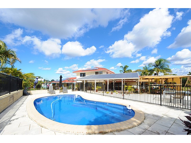 1 Pinewood Street, Little Mountain QLD 4551