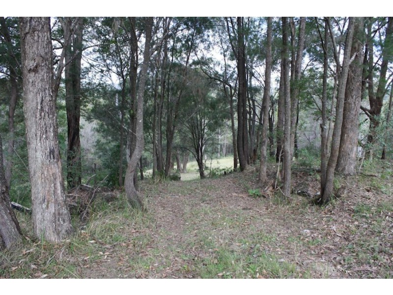 Mooloolah Valley QLD 4553