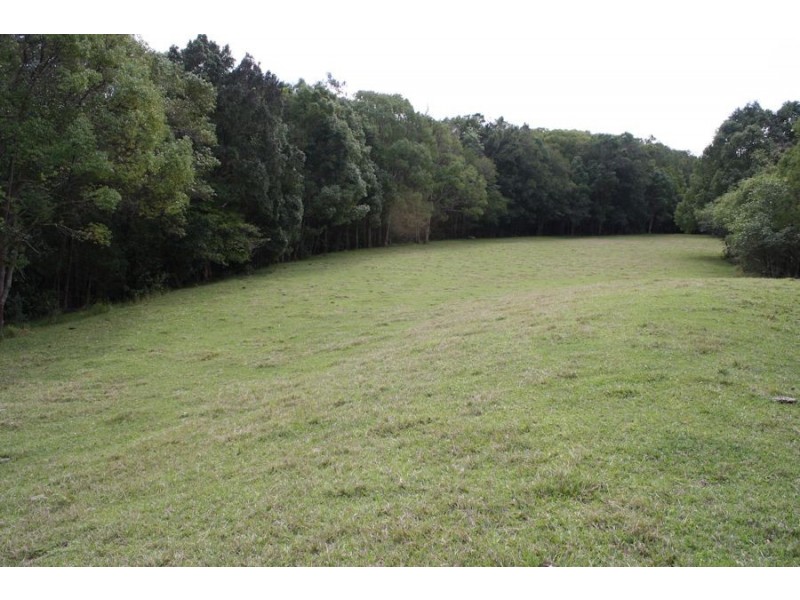 Mooloolah Valley QLD 4553