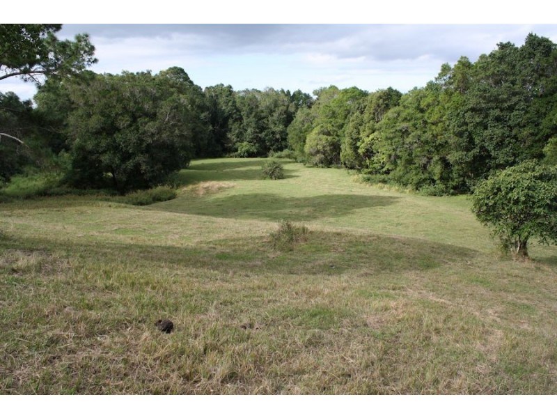 Mooloolah Valley QLD 4553