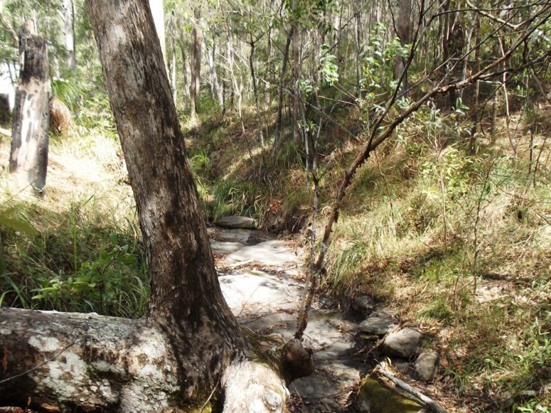Little Mountain QLD 4551