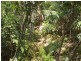 Little Mountain QLD 4551