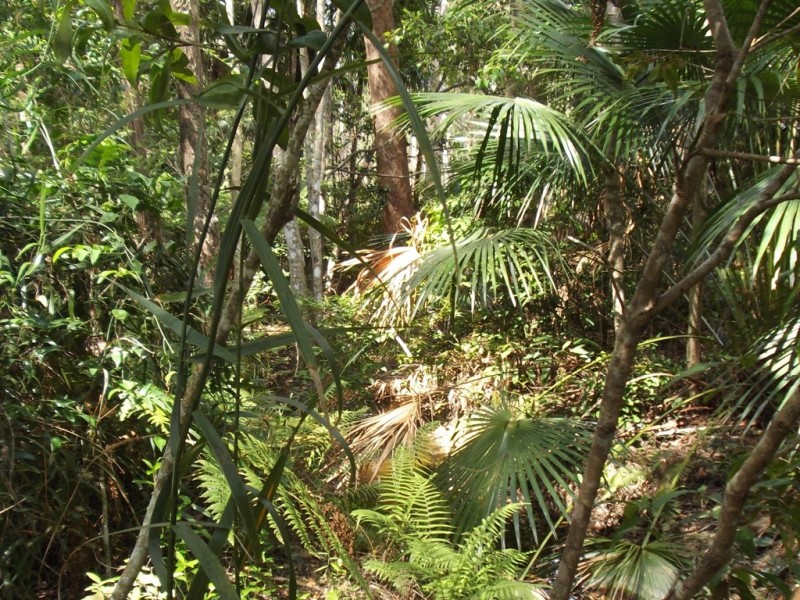 Little Mountain QLD 4551