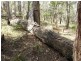 Little Mountain QLD 4551
