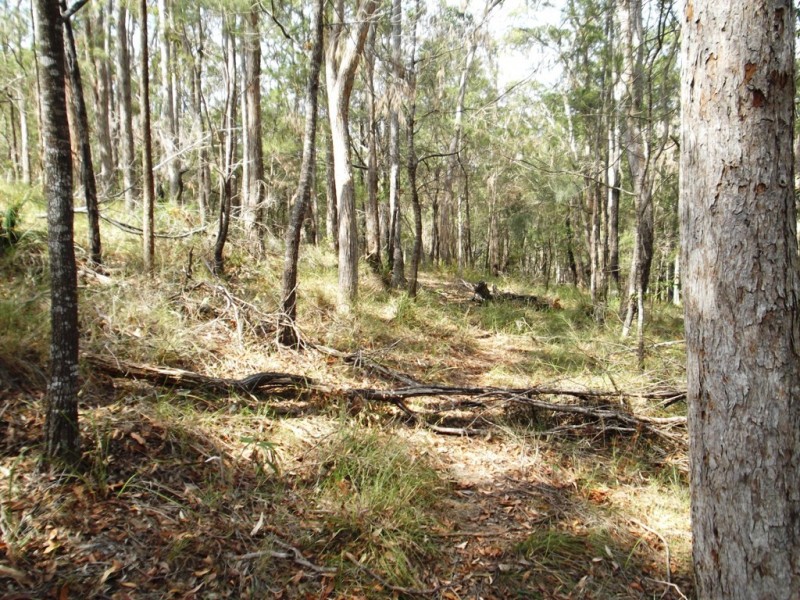Little Mountain QLD 4551