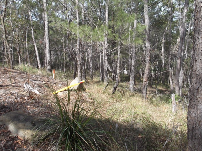 Little Mountain QLD 4551