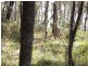 Little Mountain QLD 4551
