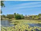 20 Undanbi Place, Pelican Waters QLD 4551