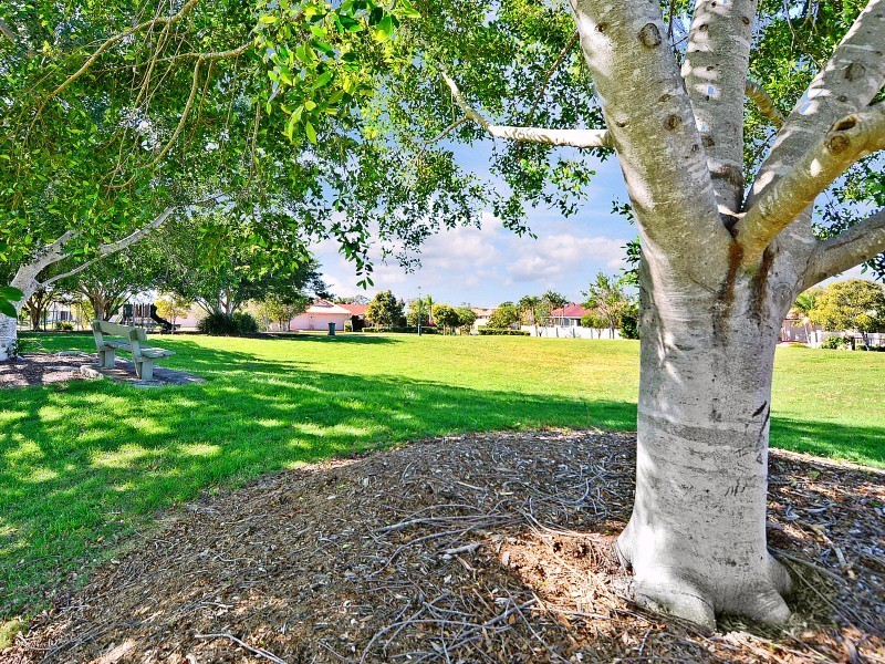 19 Teasel Square, Currimundi QLD 4551