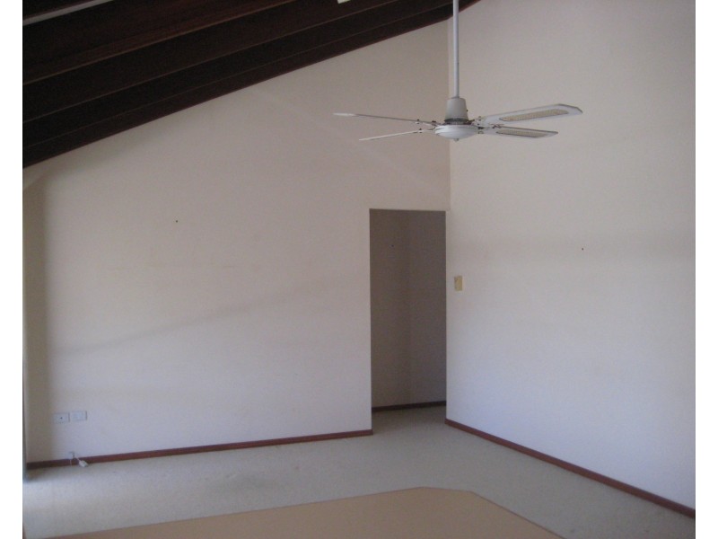 37 Iluka Avenue, Buddina QLD 4575