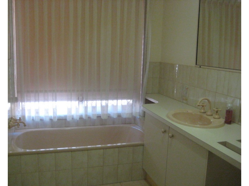 37 Iluka Avenue, Buddina QLD 4575