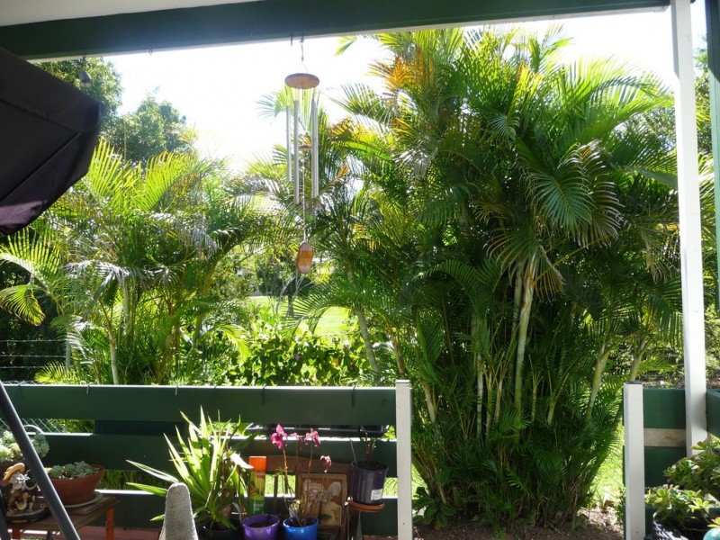 Unit 131 ‘Palm Village’ 63 Caloundra Road, Little Mountain QLD 4551