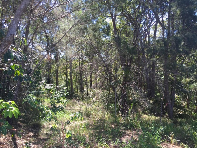 20 Whitecross Road, Bli Bli QLD 4560