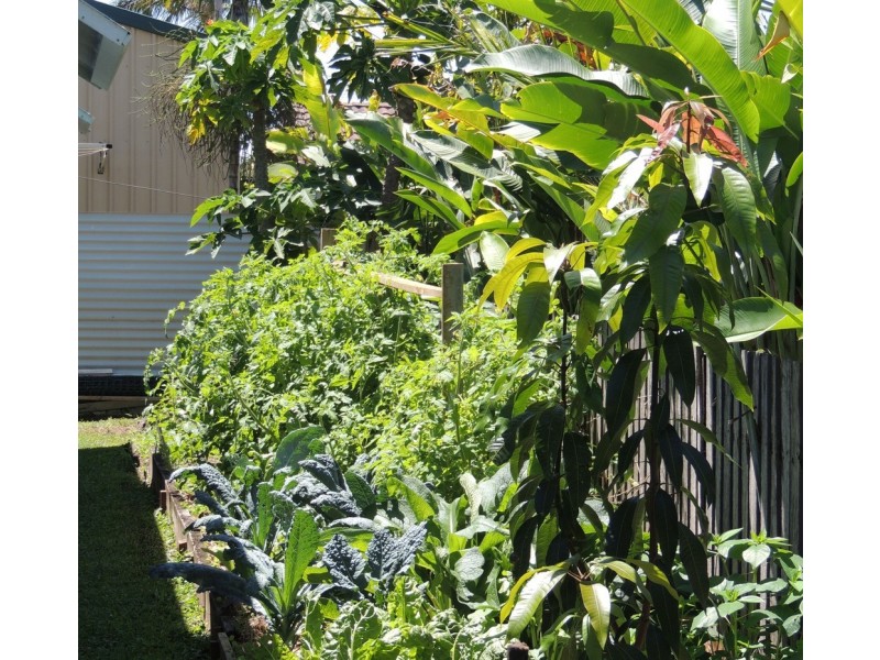 36 Coora Crescent, Currimundi QLD 4551