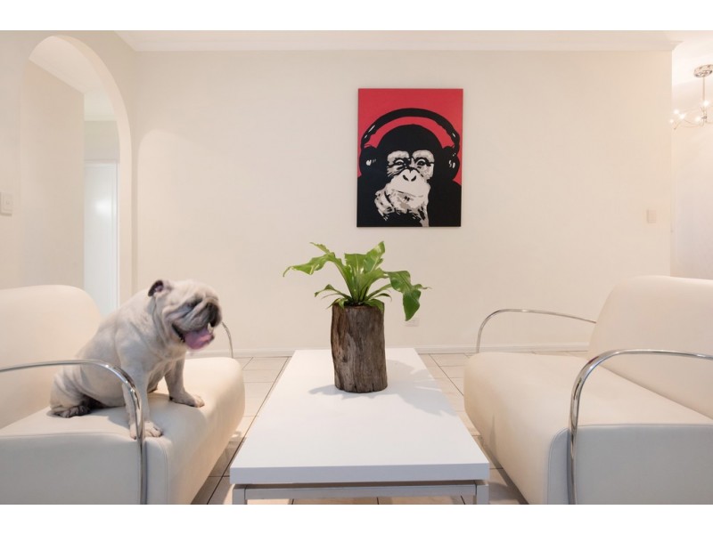 71 Poinsettia Avenue, Mooloolaba QLD 4557