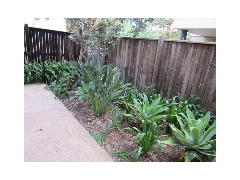 Unit 2, 19 Ngungun Street, Dicky Beach QLD 4551