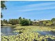 20 Undanbi Place, Pelican Waters QLD 4551